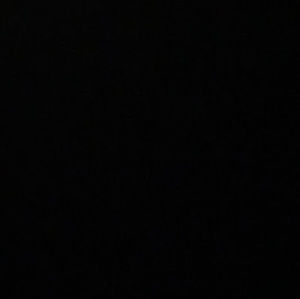 Meet your Posher, Lavona